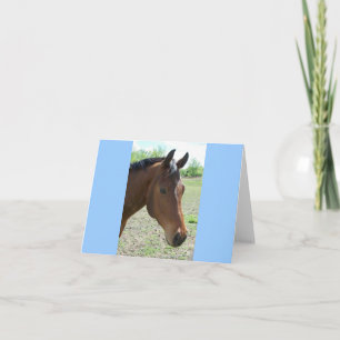 Cartão Meu Amigo, O Cavalo