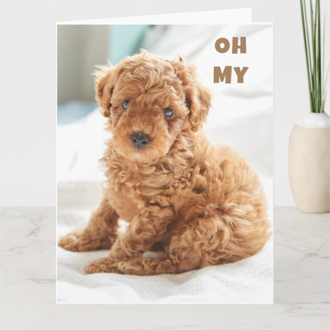 CARTÃO MEU É SEU ANIVERSÁRIO TÃO FELIZ POR VOCÊ! (Frente)