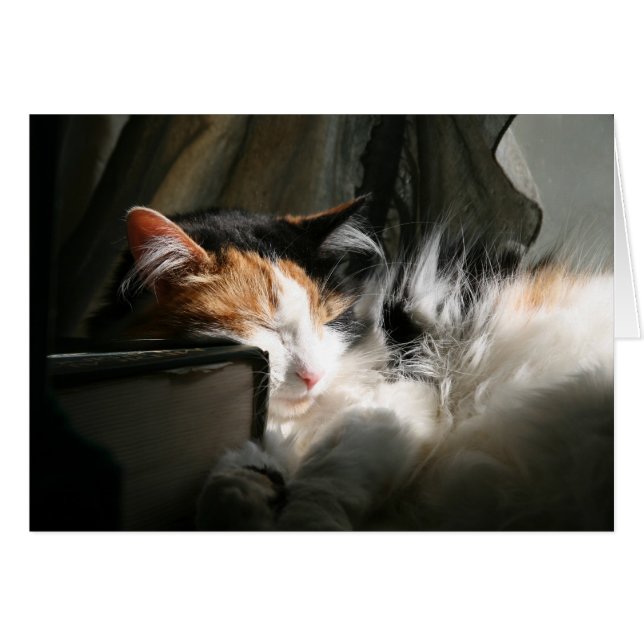 Cartão Meu feixe de sol (Frente Horizontal)