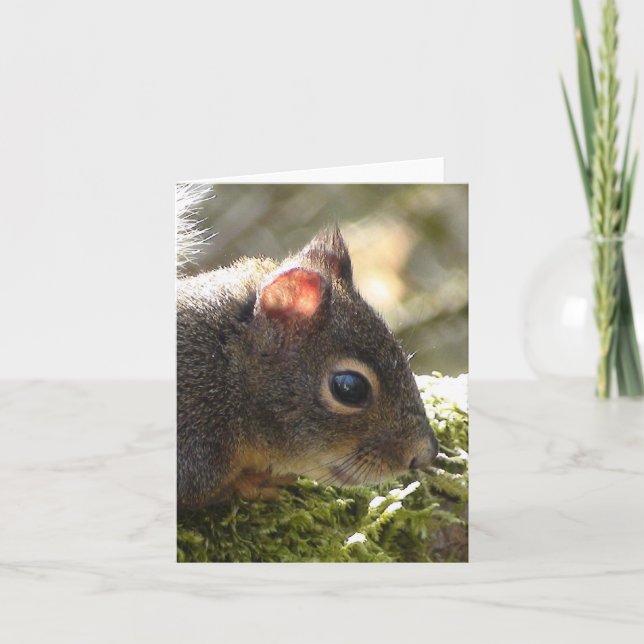 Cartão Meu Felpudo Amigo (Frente)