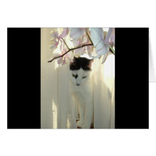 Cartão Meu Gatinho Bonito