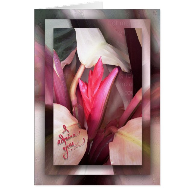 Cartão Meu herói (Frente)