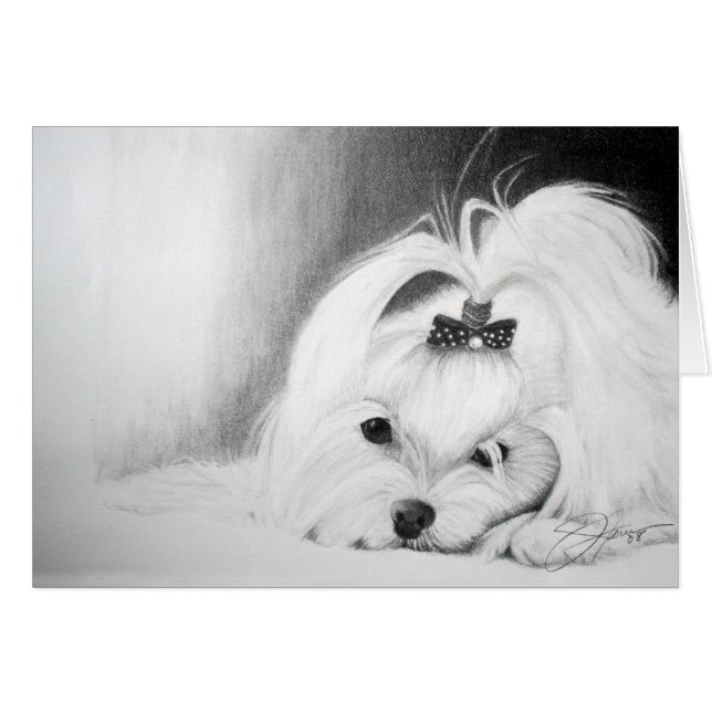 Cartão Meu maltês (Frente Horizontal)