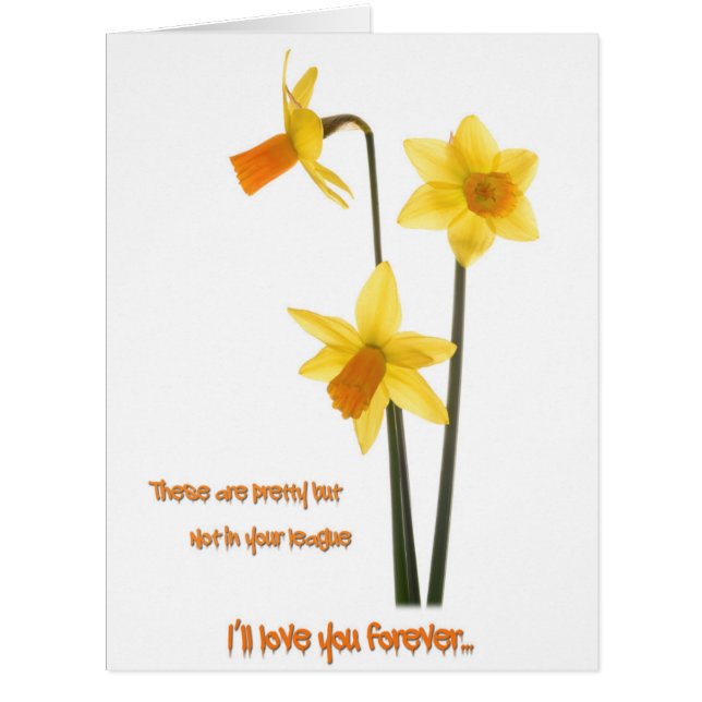 Cartão Meu Namorados (Frente)