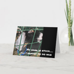 CARTÃO MEU NARIZ ESTÁ PRESO "TUDO O QUE EU QUERO É DIZER"