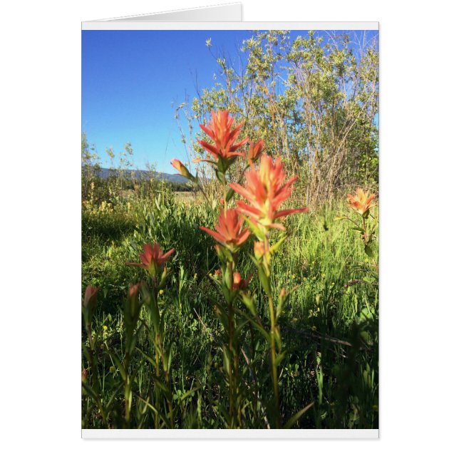 Cartão Meu pincel dos diabos (Frente)