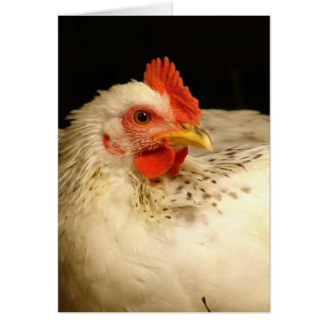 Cartão Meu Rapaz (Frente)