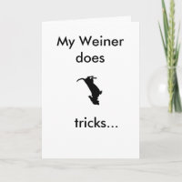Meu Weiner faz truques para seu aniversário