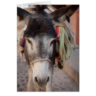 Cartão México, San Miguel De Allende 2