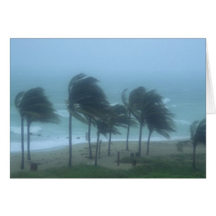 Cartão Miami Beach, Flórida, ventos de furacão açoitando