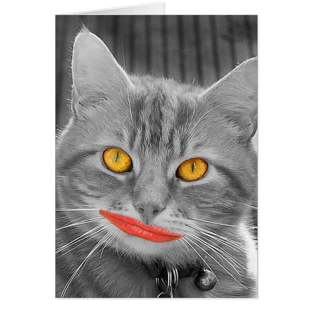 Cartão Miau (Frente)