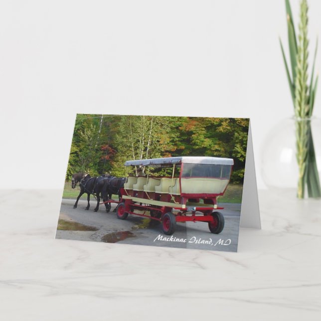 Cartão michigan_trip 024, Mackinac Island, MI (Frente)