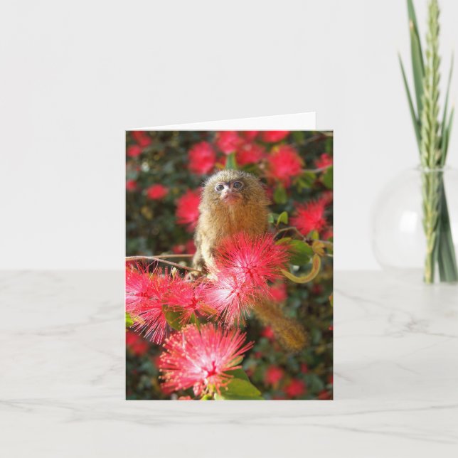 Cartão Mico in the "wild" Notecards (Frente)