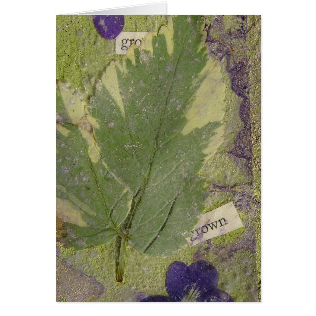 Cartão Mídia mista cultivada (Frente)