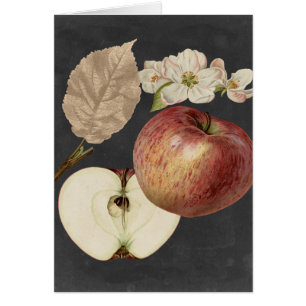 Cartão Midnight Harvest II