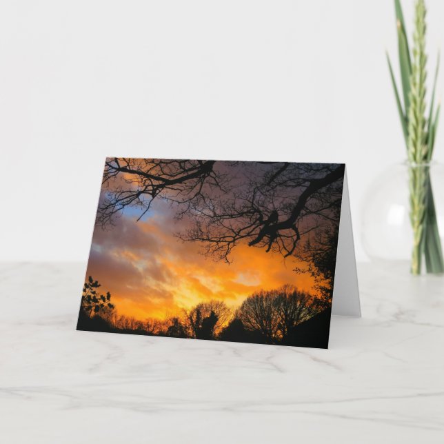 Cartão Midwinter Sunset - Greeting Card (Frente)