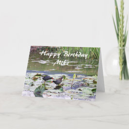 Cartão Mike Happy Birthday Havaiano Common Moorhen