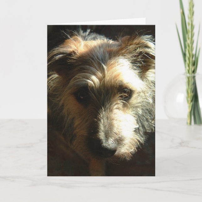 Cartão Miles (Frente)