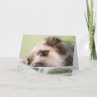 Cartão Miles Pondering