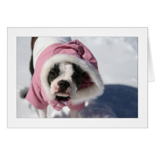 Cartão Miley na neve