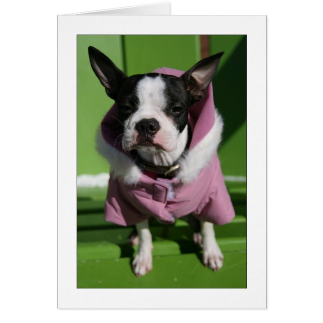 Cartão Miley no frio (Frente)