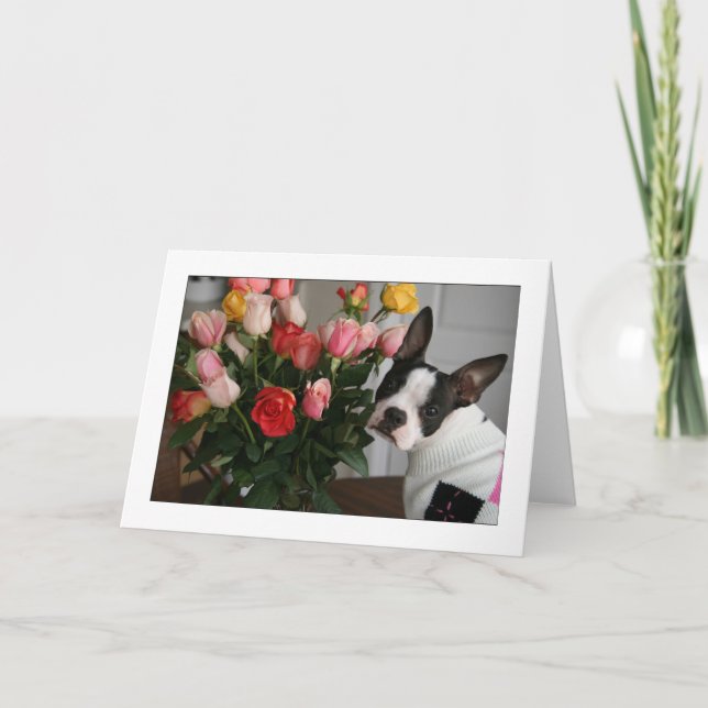 Cartão Miley with Roses (Frente)