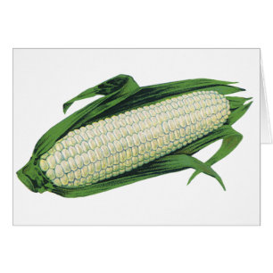 Cartão Milho branco de Comidas de vegetais venenosos no f