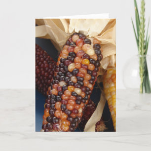 Cartão Milho indiano