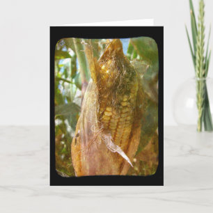 Cartão Milho No Cob