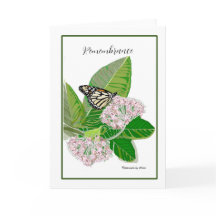 Cartão Milkweed & Monarch