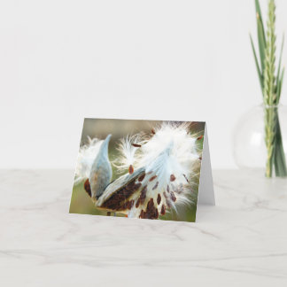 Cartão Milkweed Note Card: Full of Surprises
