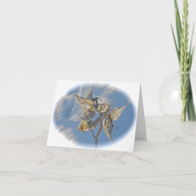 Cartão Milkweed Pods Against Snow Note Card (Frente)