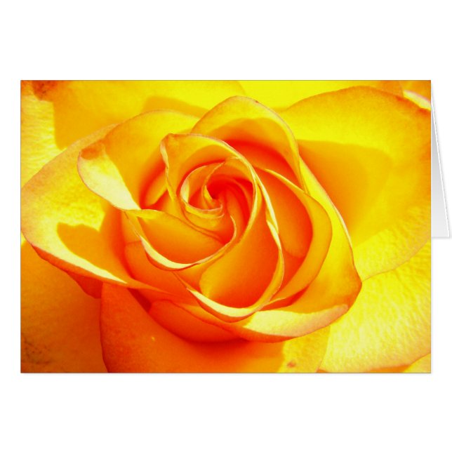 Cartão Mimi Rosa (Frente Horizontal)