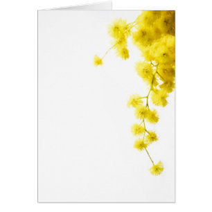 Cartão Mimosa