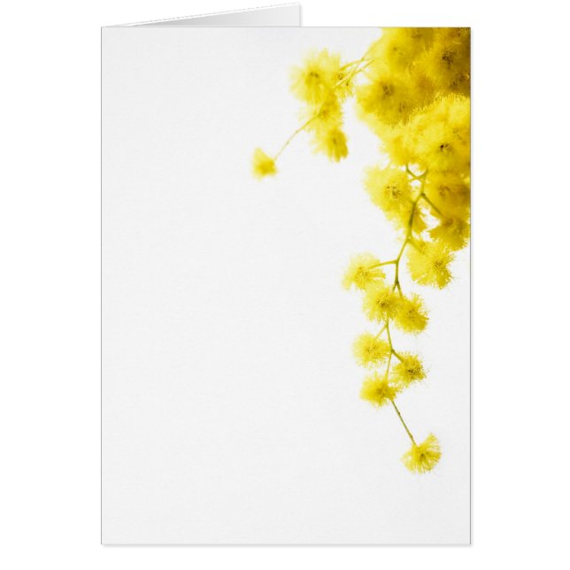 Cartão Mimosa (Frente)