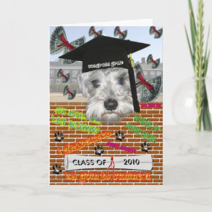 Cartão Minature Schnauzer Graduation Card