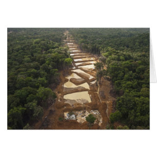 Cartão Mineração de Ouro Aluvial. Floresta Tropical, Guia