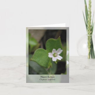 Cartão Miner's Lettuce - Native Notecard