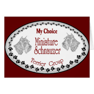 Cartão minha escolha mini schnauzer