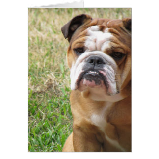 Cartão minha menina