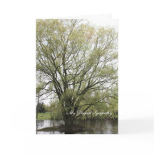 Minha simpatia mais profunda