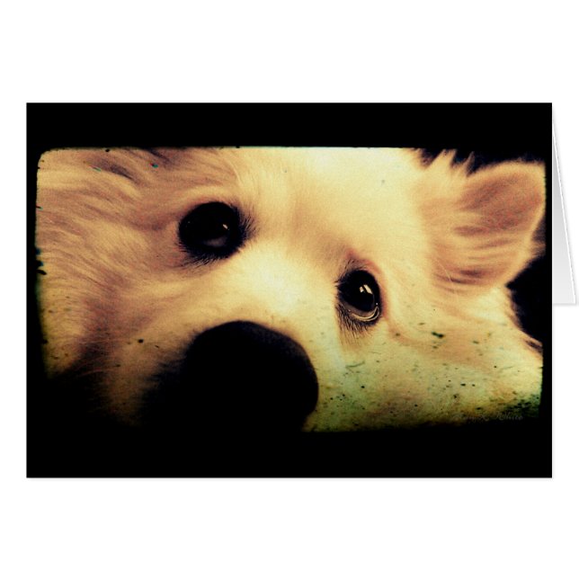 Cartão Mini-Americano Eskimo (Frente horizontal)