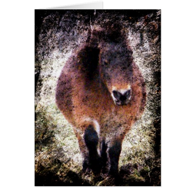 Cartão Mini Grunge da égua (Frente)