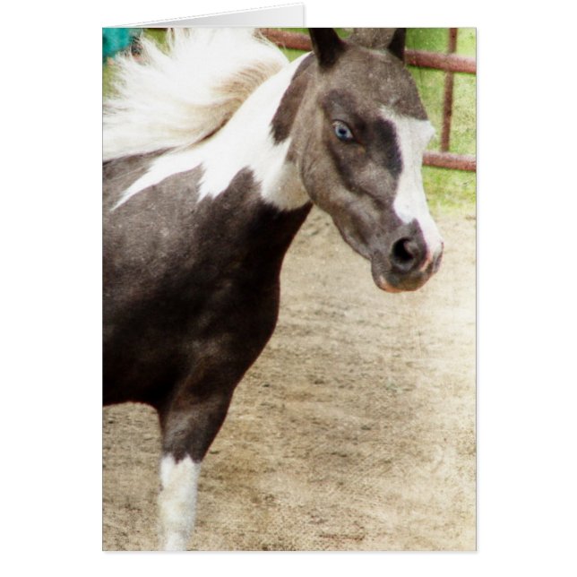 Cartão Mini Olhada Azul na Classe Liberdade (Frente)