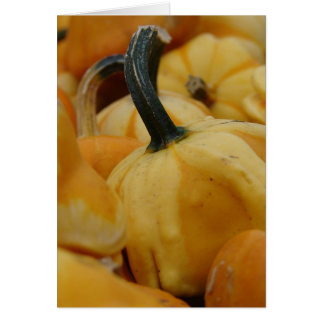 Cartão Mini Pumpkins (Frente)
