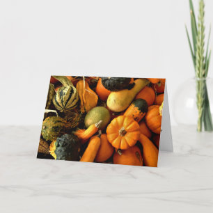 Cartão Mini Pumpkins E Gourds - Foto 2