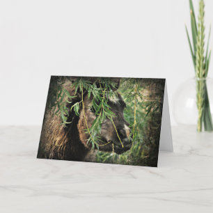 Cartão Mini sendo nery, Aniversário