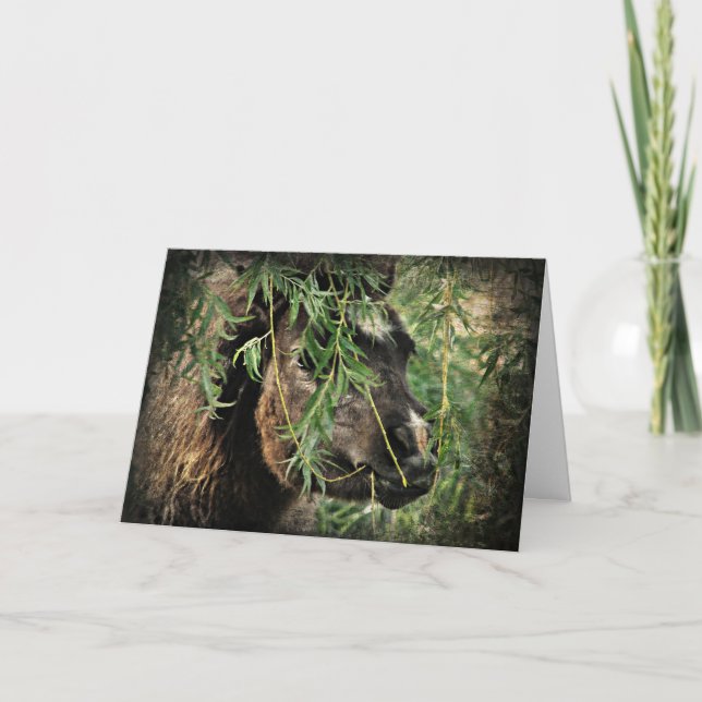 Cartão Mini sendo nery, Aniversário (Frente)