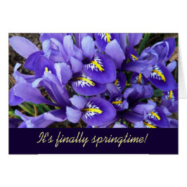 Cartão Miniatura Azul Levanta Primavera Floral