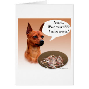 Cartão Miniatura Pinscher Turquia